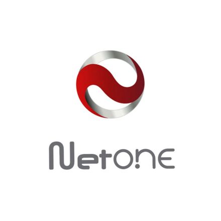 NetONE Network Solution Company Limited